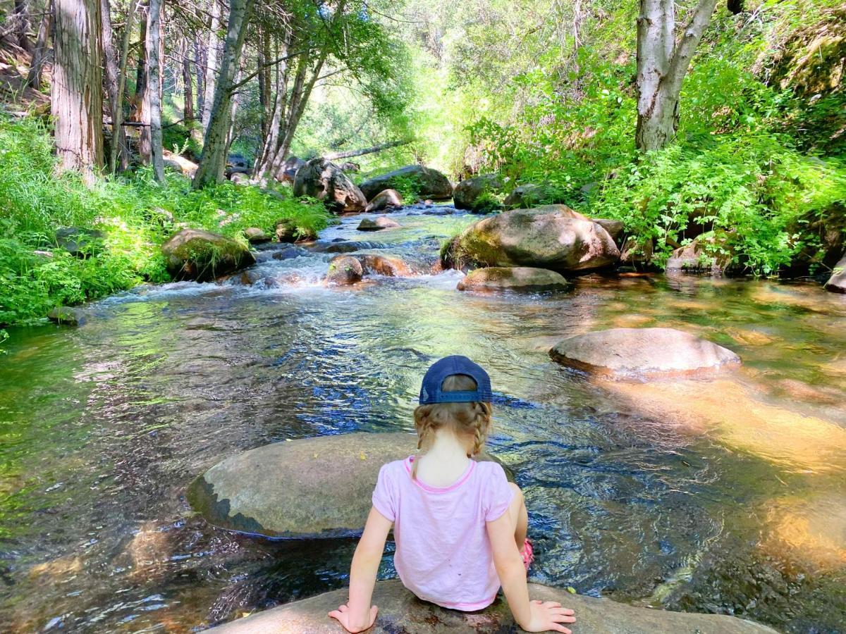 Redwood Retreat, Mountains, Adventure And Nature Ponderosa ภายนอก รูปภาพ