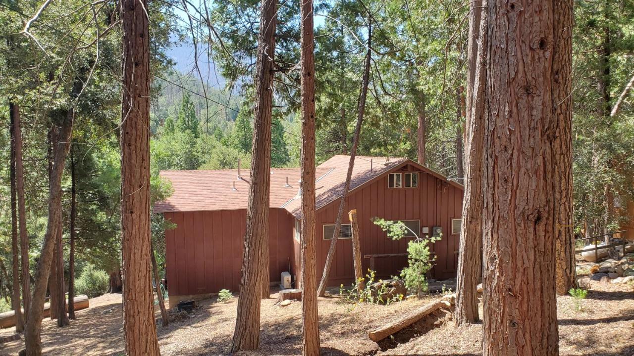 Redwood Retreat, Mountains, Adventure And Nature Ponderosa ภายนอก รูปภาพ