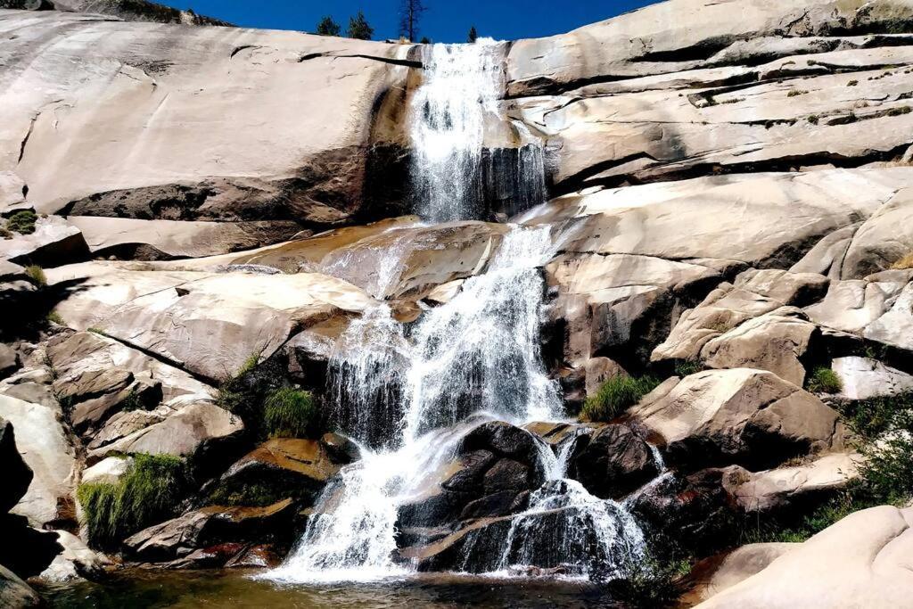 Redwood Retreat, Mountains, Adventure And Nature Ponderosa ภายนอก รูปภาพ