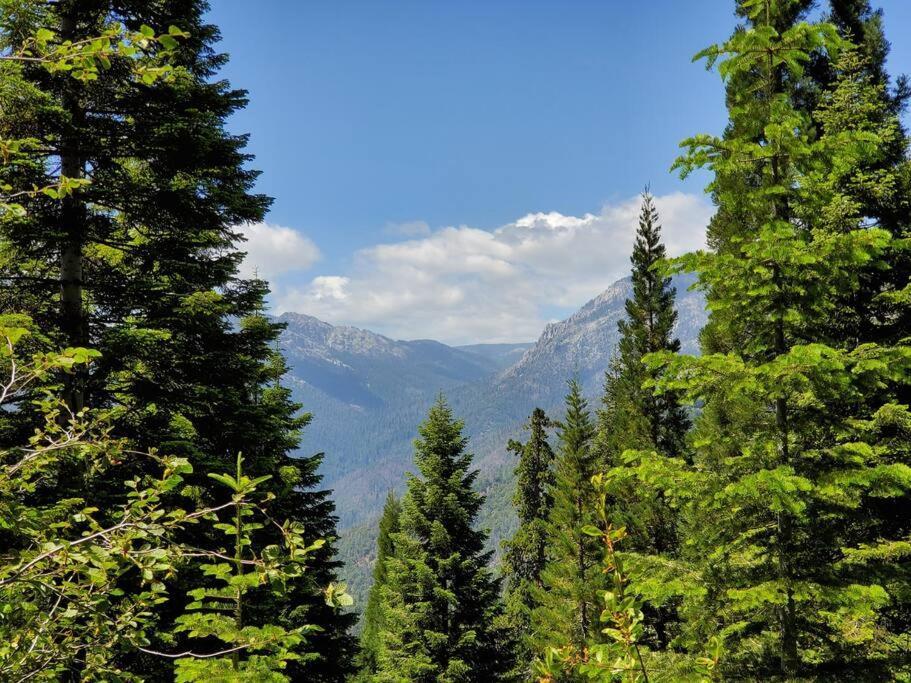 Redwood Retreat, Mountains, Adventure And Nature Ponderosa ภายนอก รูปภาพ