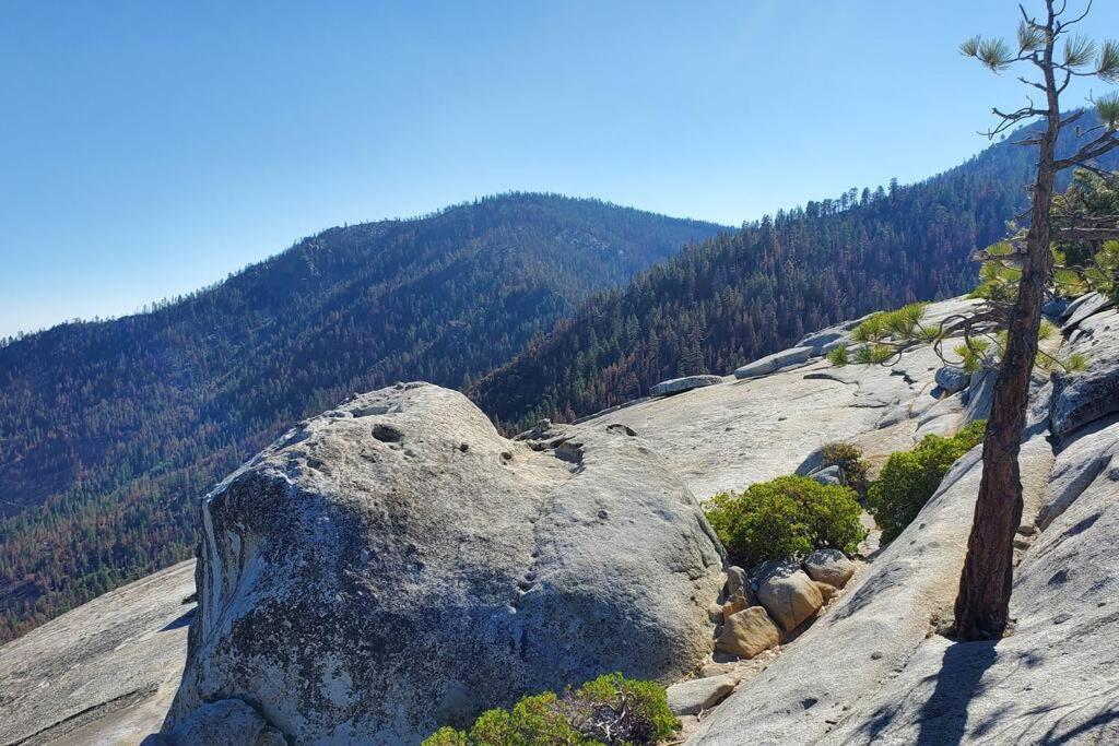 Redwood Retreat, Mountains, Adventure And Nature Ponderosa ภายนอก รูปภาพ
