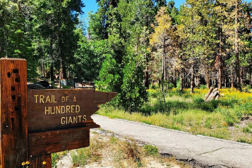 Redwood Retreat, Mountains, Adventure And Nature Ponderosa ภายนอก รูปภาพ