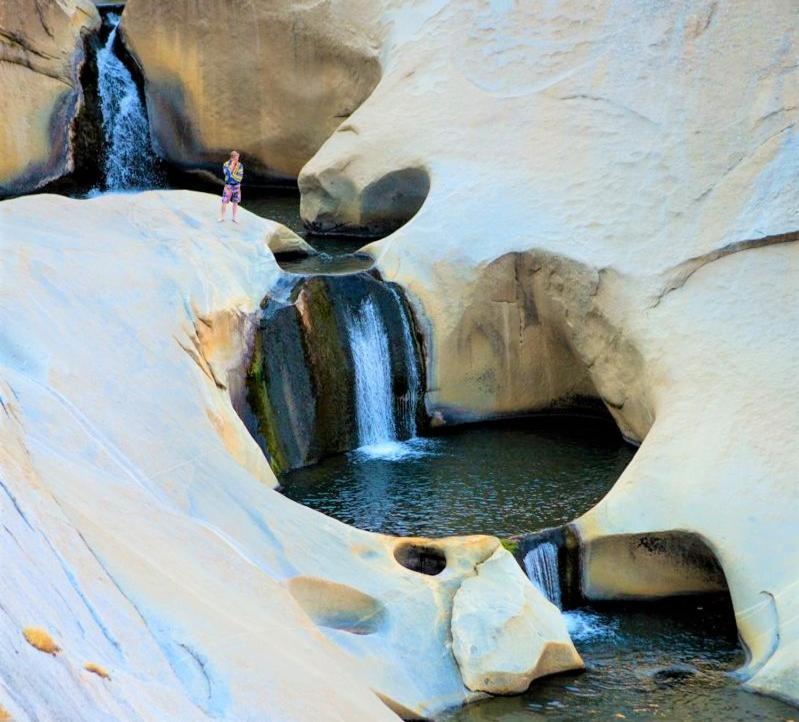 Redwood Retreat, Mountains, Adventure And Nature Ponderosa ภายนอก รูปภาพ