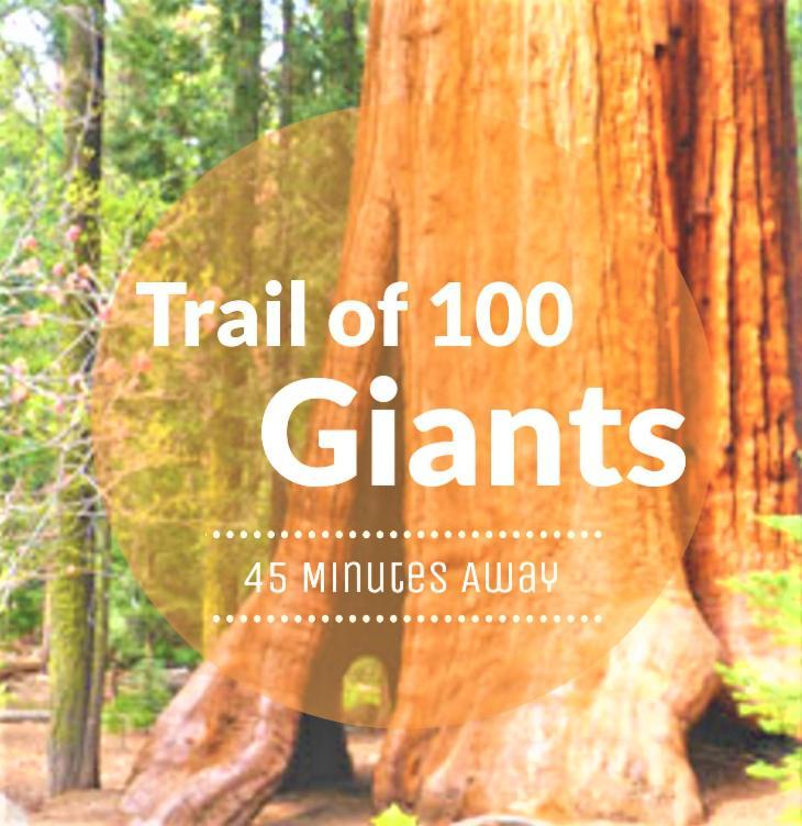 Redwood Retreat, Mountains, Adventure And Nature Ponderosa ภายนอก รูปภาพ