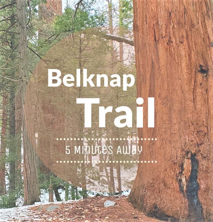 Redwood Retreat, Mountains, Adventure And Nature Ponderosa ภายนอก รูปภาพ